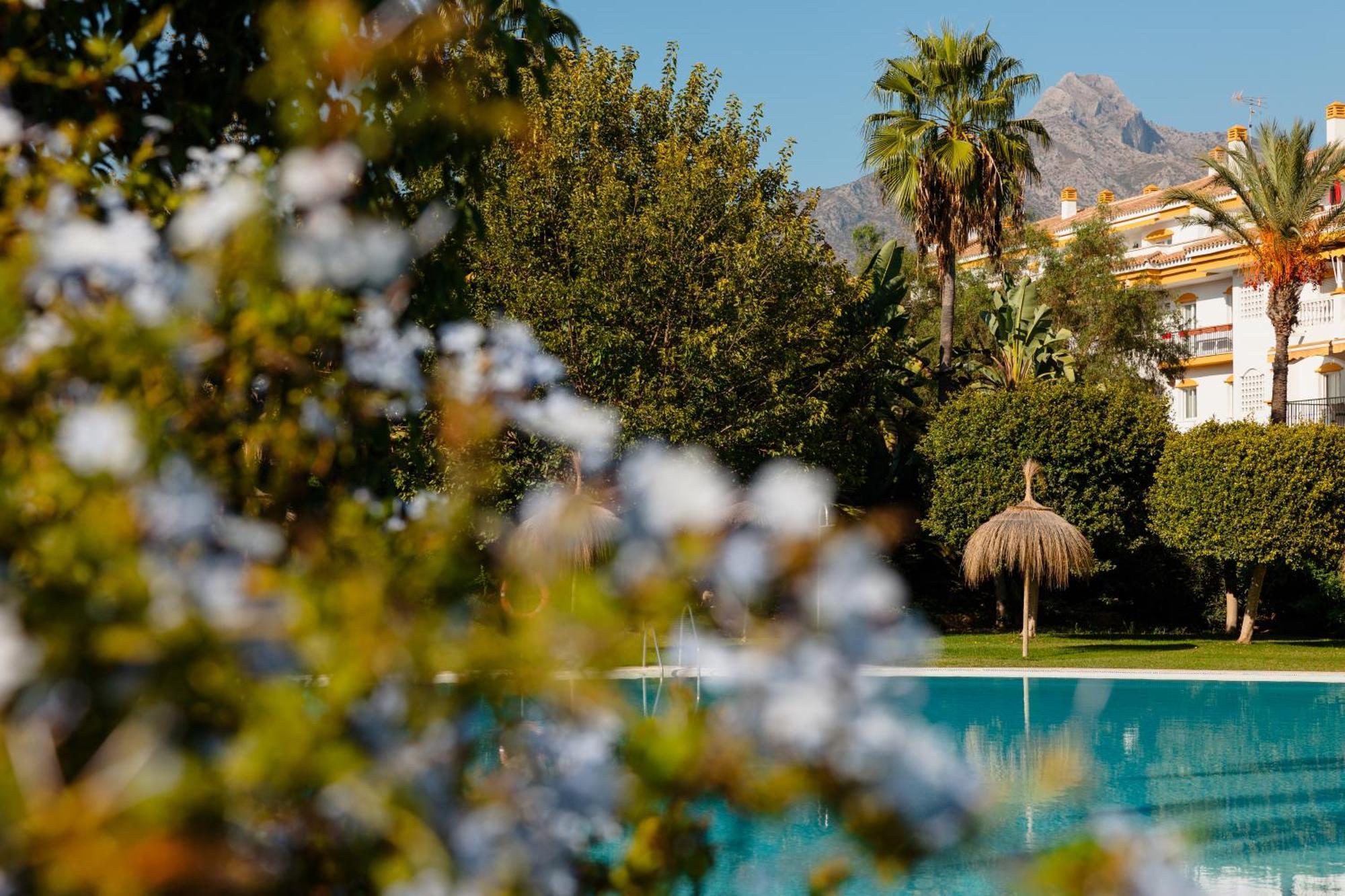 Ground Floor Holiday Apartment With Terrace And Pool In Puerto Banus, Marbella Luaran gambar